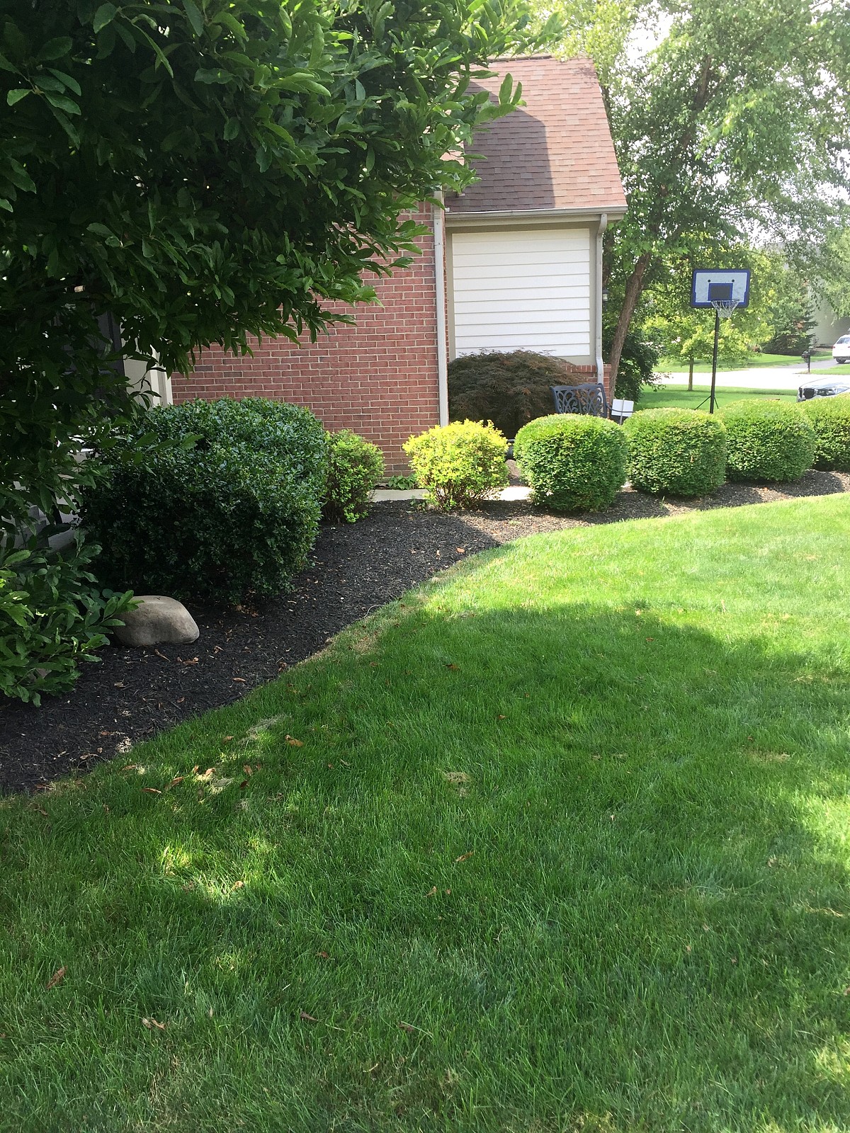 Yard clean up, edging and mulching