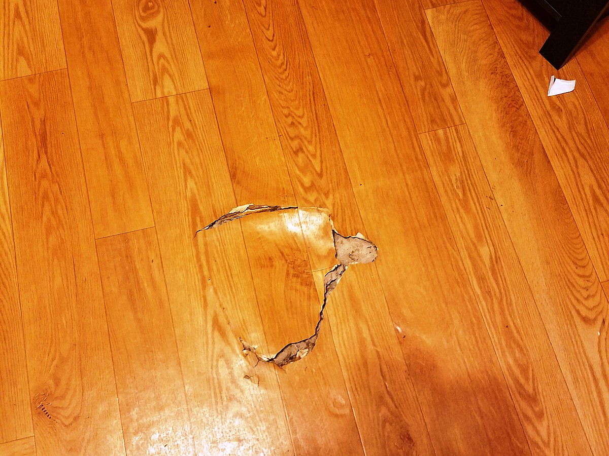 Rotted hardwood floor