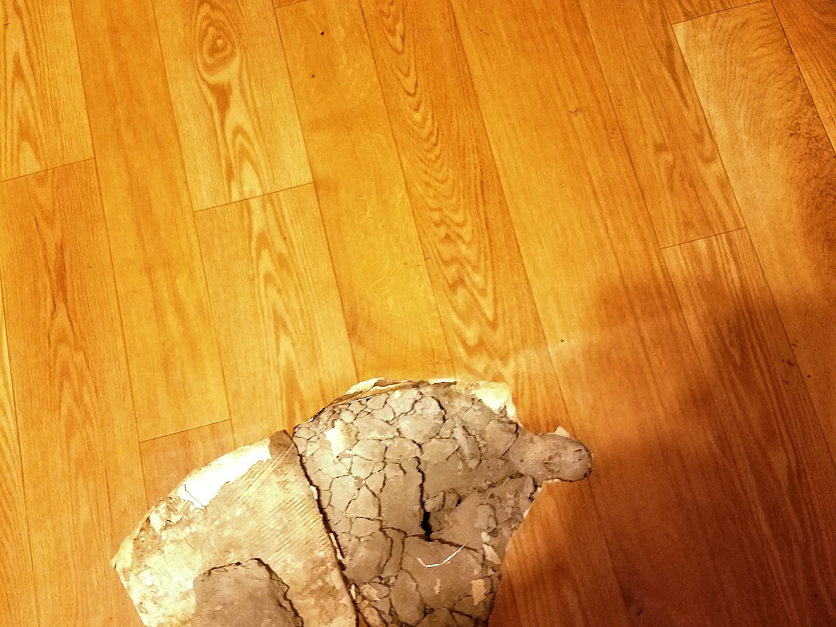 Serious damage to old wood floor