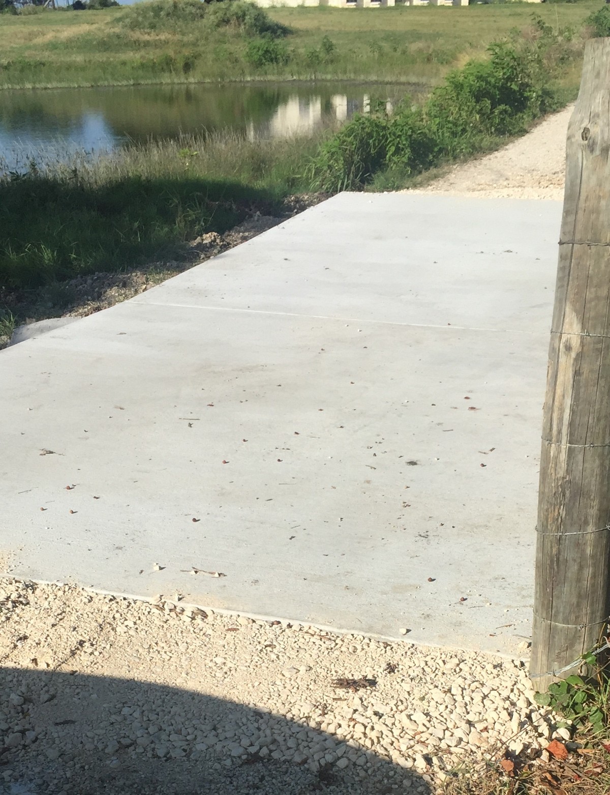 New concrete driveway