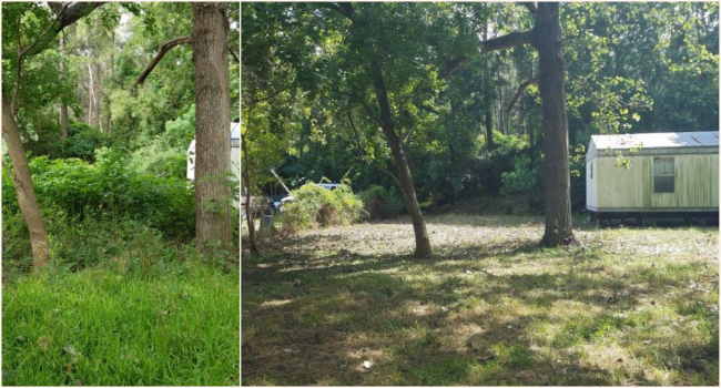 Easy path from driveway to house