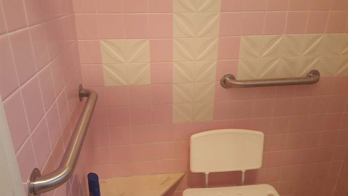 Tub grab bars