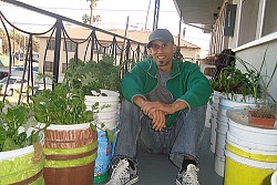 Mike Lieberman