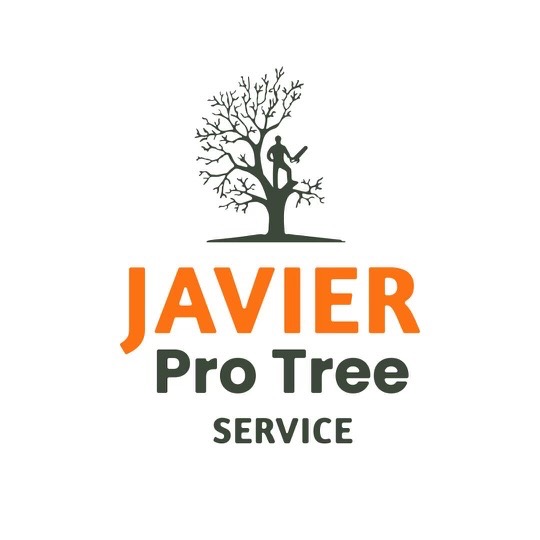 Javier Pro Tree Service Fredericksburg, VA, 22407 | Networx