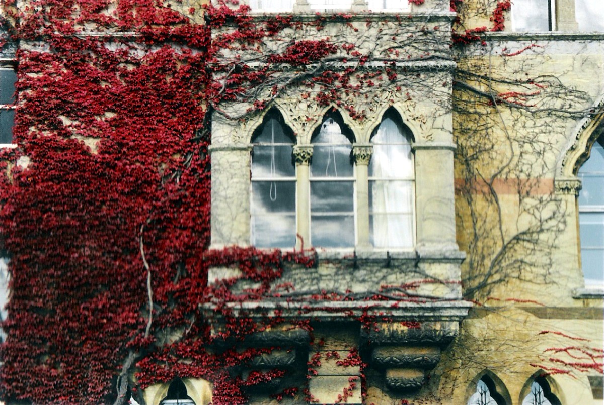 Olf Window Should You Replace or Restore Old Windows? | Networx
